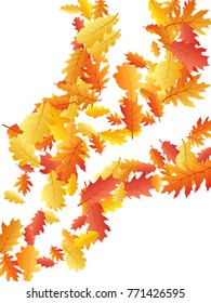 Oak leaf abstract background seasonal vector illustration. Autumn leaves falling graphic design. Fall season specific vector background. Oak tree autumn foliage on white.