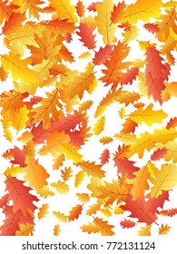 Oak leaf abstract background seasonal vector illustration. Autumn leaves falling graphic design. Fall season specific vector background