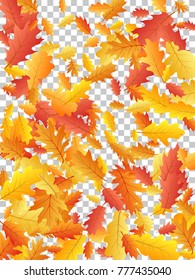 Oak leaf abstract background seasonal vector illustration. Autumn leaves falling graphic design. Fall season specific vector background