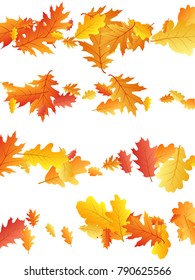 Oak leaf abstract background seasonal vector illustration. Autumn leaves falling graphic design. Fall season specific vector background. Oak tree autumn foliage stripes, lines on white.