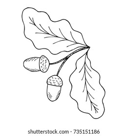 Oak leaf and acorn branch. Autumn elements. Hand drawn ink botanical illustration. Vintage fall seasonal decor in sketch style. Template for label, sign, icon, banner, seasonal decor, sticker.