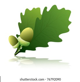 oak leaf with acorns illustration