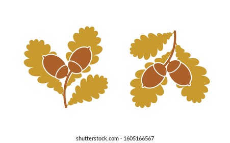 Oak leaf and acorns. Isolated oak on white background