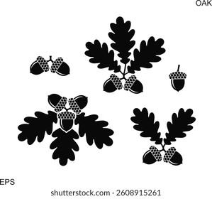 Oak leaf and acorns. Isolated oak on white background
