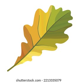 Hojas de roble. Ambiente otoñal. Imagen vectorial.