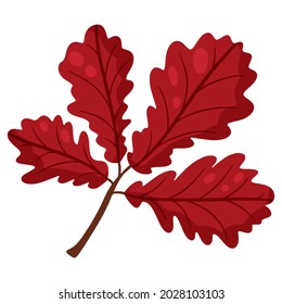 Oak leaf. Autumn design element. Vector illustration, cartoon style.