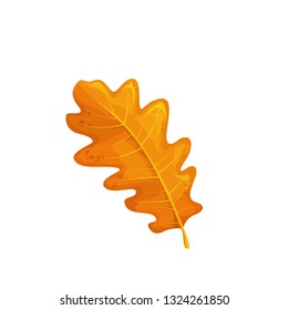 Oak leaf, autumn symbol. Vector iluustration.