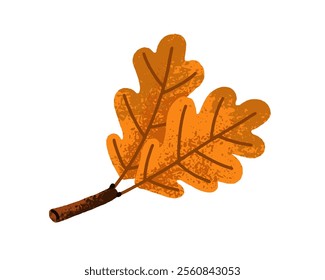 Oak leaf. Autumn tree leaves, dry foliage. Fall seasonal design element, botanical natural decoration. Forest decor, dried herbarium. Colored flat vector illustration isolated on white background