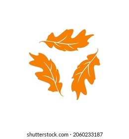 Oak leaf Autumn  Vector logo design
