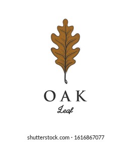 Oak leaf. Autumn vector object isolated on white