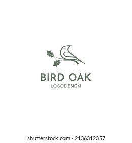 OAK LEAF AND BIRD LOGO DESIGN VECTOR