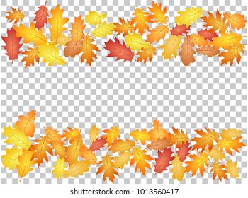 Oak leaf border abstract background seasonal vector illustration. Autumn leaves falling frame graphic design. Fall season cool border vector background. Oak tree autumn foliage on transparent.