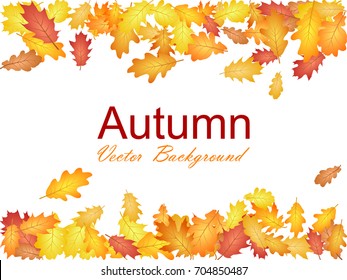 Oak Leaf Border Abstract Background Seasonal Vector Illustration. Autumn Leaves Falling Frame Graphic Design. Fall Season Specific Border Vector Background. Oak Tree Autumn Foliage On White.