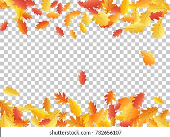 Oak leaf border abstract background seasonal vector illustration. Autumn leaves falling frame graphic design. Fall season specific border vector background. Oak tree autumn foliage on transparent.