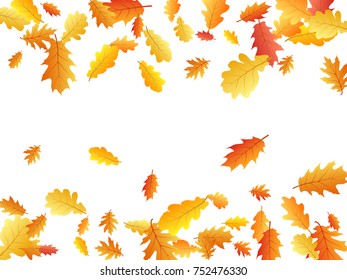 Oak leaf border abstract background seasonal vector illustration. Autumn leaves falling frame graphic design. Fall season specific border vector background. Oak tree autumn foliage on white.