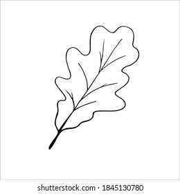 Oak Leaf Botanical Vector Illustration Isolated Stock Vector (Royalty ...