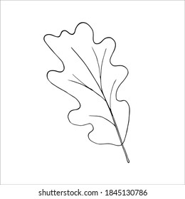 Oak leaf. Botanical vector illustration. Isolated object on a white background. A simple contour drawing in ink. Design for autumn decor, children's coloring books, textiles.