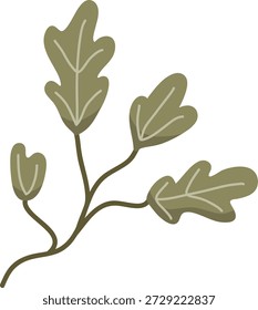 Rama de hoja de roble con cuatro hojas lobuladas y líneas de vena delgadas sobre un fondo limpio. Símbolo de la naturaleza, el crecimiento, la ecología y la vida orgánica. Ilustración vectorial de dibujos animados.