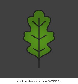 Oak leaf color icon. Isolated vector illustration