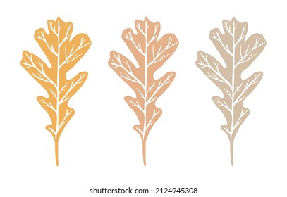 Oak leaf colored imprint with veins