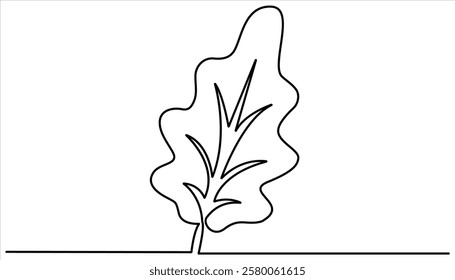 Oak leaf continuous one line drawing. oak laves single line illustration. Hand drawn element for decoration print poster and banner