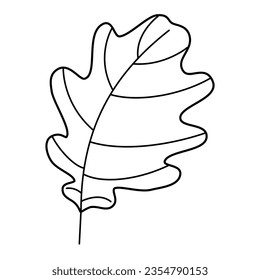 Oak leaf contour drawing isolated cutout black and white vector clipart illustration. Autumn leaves line art design element. Nature pictogram, logo or icon. Tree foilage simple cartoon doodle.