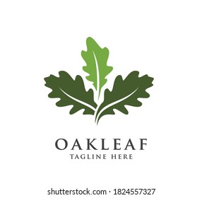 oak leaf design logo concept