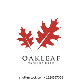 oak leaf design logo concept