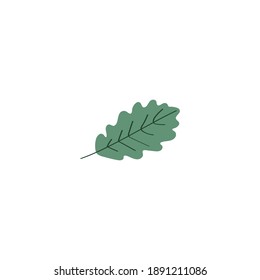 Oak leaf doodle icon. Vector colored flat hand drawn illustration