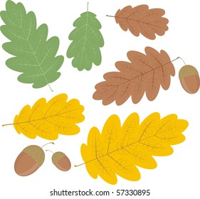 oak leaf fall