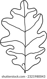 Oak leaf fallen from a tree plant nature doodle linear cartoon coloring book