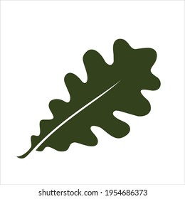 oak leaf flat style design isolated. vector illustration on white background.
