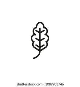 Oak leaf. Flat thin line illustration. Plant, acorn, foliage. Leaf concept. For nature, ecology, environment
