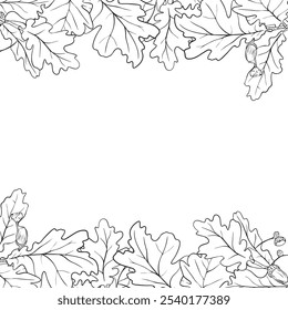 Oak leaf frame. Hand drawn oak leaf composition, vector illustration on white background