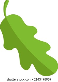 Oak leaf. Green tree foliage. Forest symbol
