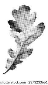 Elemento de collage de media tonalidad de la hoja de roble. Objeto floral para el diseño de medios mixtos, follaje punk punk vintage punteado, forma cutuot retro moderna. Ilustración del vector aislada en fondo transparente