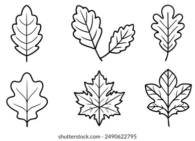 Oak Leaf Hand Drawing Line Art