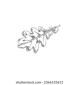 Oak leaf hand drawn isolated vector illustration. Autumn symbol and fall decoration element. Black and white botanical sketch for pattern, frame, border.