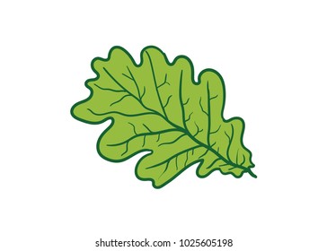 Oak leaf. Hand drawn Vector illustration.