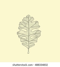 oak leaf from the hand of the graph drawing in the style of boho