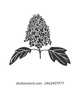 Oak Leaf Hydrangea Icon Silhouette Illustration. Flowers Vector Graphic Pictogram Symbol Clip Art. Doodle Sketch Black Sign.