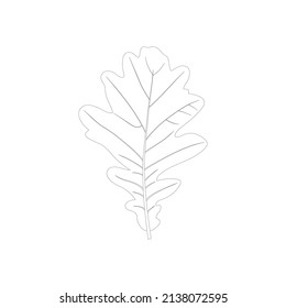 Oak leaf icon in black and white on a white background. Vector image.