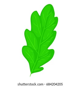 Oak leaf icon, cartoon style