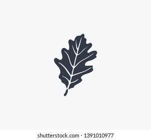 Oak leaf icon isolated on clean background. Oak leaf icon concept drawing icon in modern style. Vector illustration for your web mobile logo app UI design.