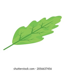 Oak leaf icon. Isometric of oak leaf vector icon for web design isolated on white background