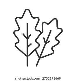 Oak leaf icon in line design. oak leaf plant nature botanical organic foliage forest plant food ingredient on white background vector. oak leaf editable stroke icon