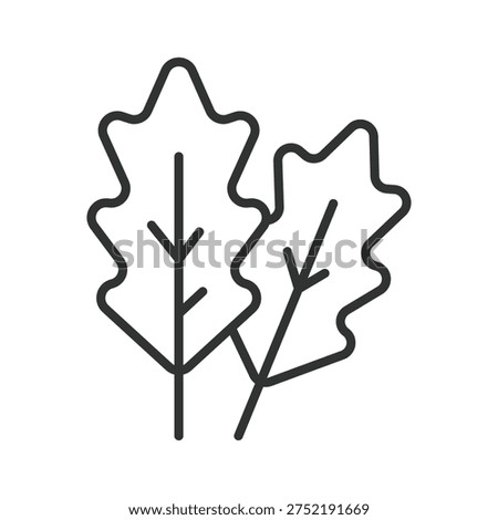 Oak leaf icon in line design. oak leaf plant nature botanical organic foliage forest plant food ingredient on white background vector. oak leaf editable stroke icon