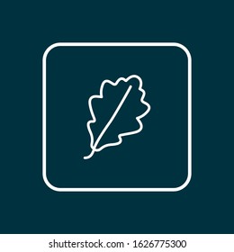 Oak leaf icon line symbol. Premium quality isolated design element in trendy style.