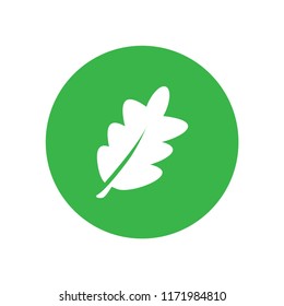 Oak leaf icon logo template