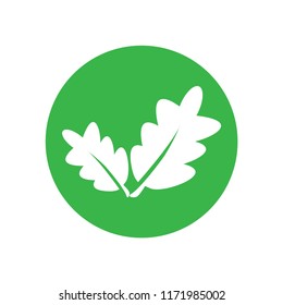Oak leaf icon logo template